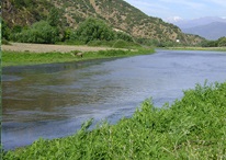 Estero Zamorano