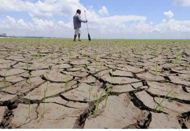 Escasez hídrica y altas temperaturas: Santiago sufre su tercer julio más seco en 72 años