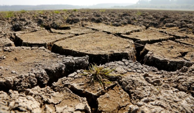 Últimas lluvias no son suficientes y llevan al gobierno a decretar emergencia agrícola en cuatro regiones