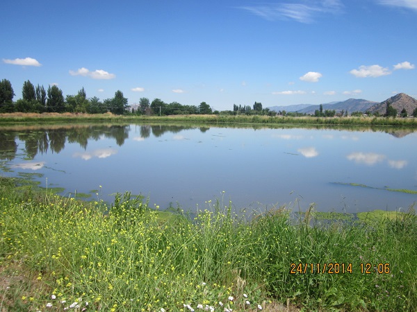 Canal Silvano